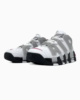 Nike Air More Uptempo 96 White Gray — головне фото товару