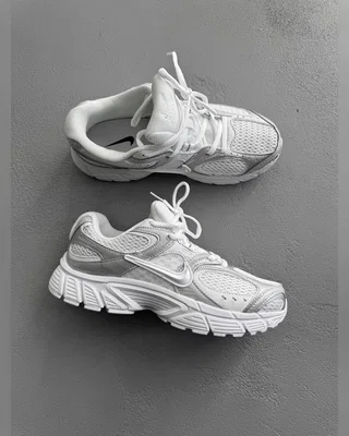 Nike V5 RNR White Silver — головне фото товару