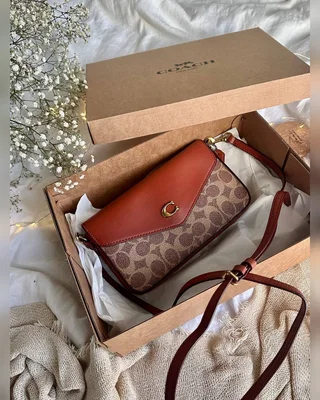 COACH ‎‎‎‎ Coach Women's Wyn Crossbody Handbag Brown [крафт коробка] 21 х 12 х 3.5 — головне фото товару
