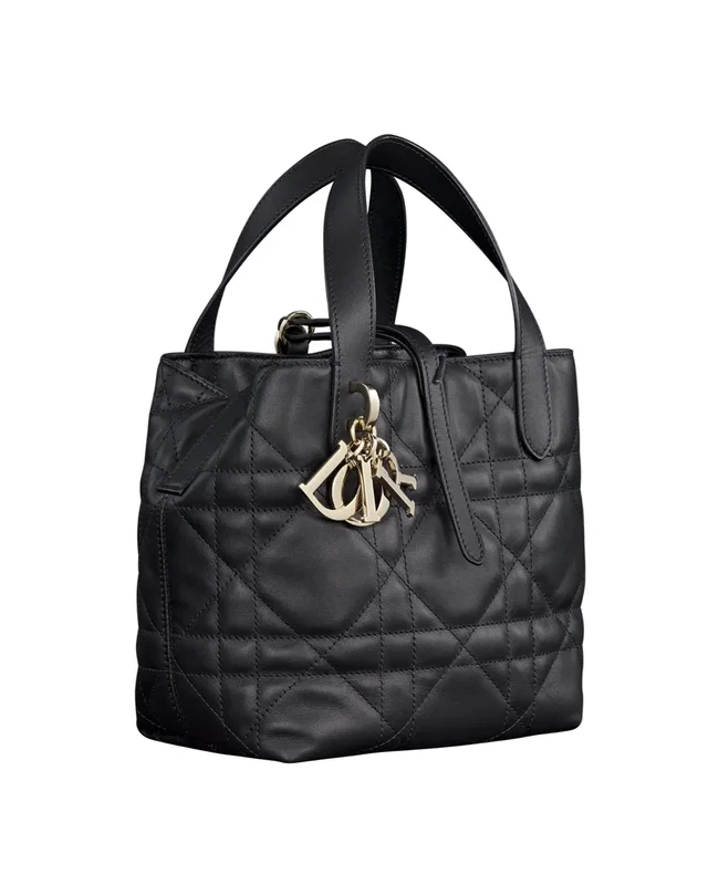 Dior Toujours Vertical Nano Tote Bag Black — головне фото товару