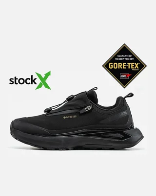 Salomon 2343 Salomon Odyssey Gore Tex Термо — головне фото товару