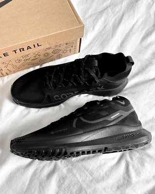 Nike Pegasus Trail 4 GORE-TEX Waterproof Trail Running Shoes 'Black' DJ7926-008 — головне фото товару