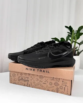 Nike Pegasus Trail 4 GORE-TEX Waterproof Trail Running Shoes 'Black' DJ7926-008 — головне фото товару
