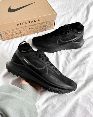 Nike Pegasus Trail 4 GORE-TEX Waterproof Trail Running Shoes 'Black' DJ7926-008 — головне фото товару