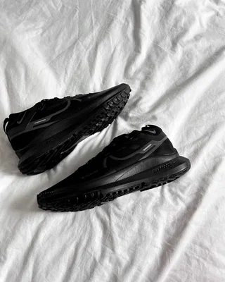Nike Pegasus Trail 4 GORE-TEX Waterproof Trail Running Shoes 'Black' DJ7926-008 — головне фото товару