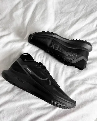 Nike Pegasus Trail 4 GORE-TEX Waterproof Trail Running Shoes 'Black' DJ7926-008 — головне фото товару