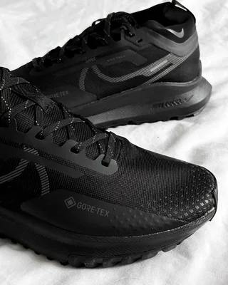 Nike Pegasus Trail 4 GORE-TEX Waterproof Trail Running Shoes 'Black' DJ7926-008 — головне фото товару