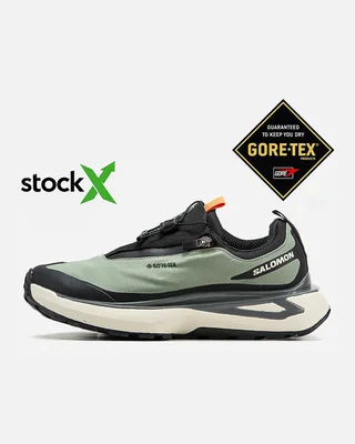 Salomon 1665 Salomon Odyssey Gore Tex Термо — головне фото товару