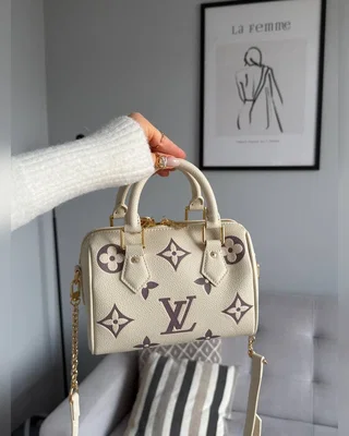 Louis Vuitton Speedy Bandoulière 20 Bicolor Violet Beige 21 x 17 x 11 — головне фото товару