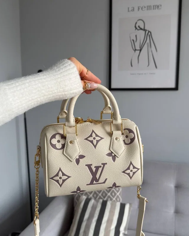Louis Vuitton Speedy Bandoulière 20 Bicolor Violet/Beige 21 x 17 x 11 — головне фото товару