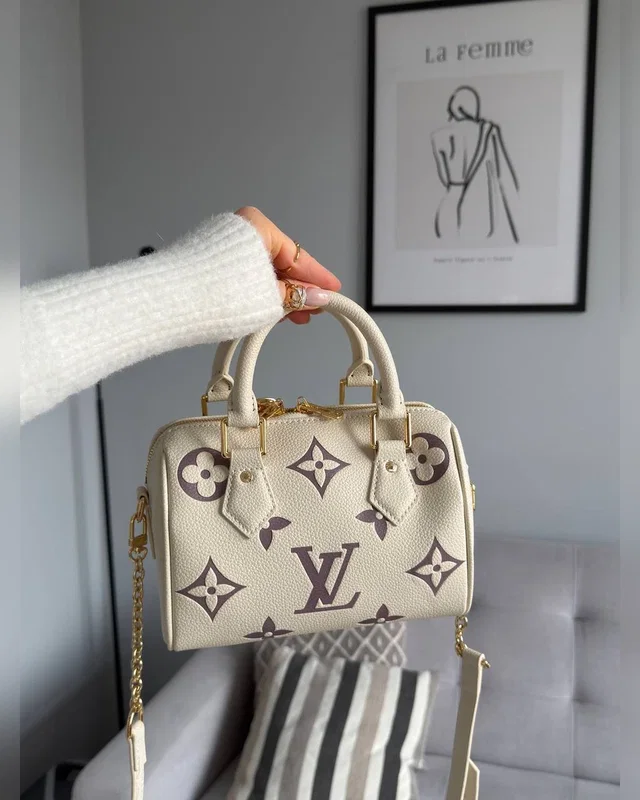 Louis Vuitton Speedy Bandoulière 20 Bicolor Violet Beige 21 x 17 x 11 — головне фото товару