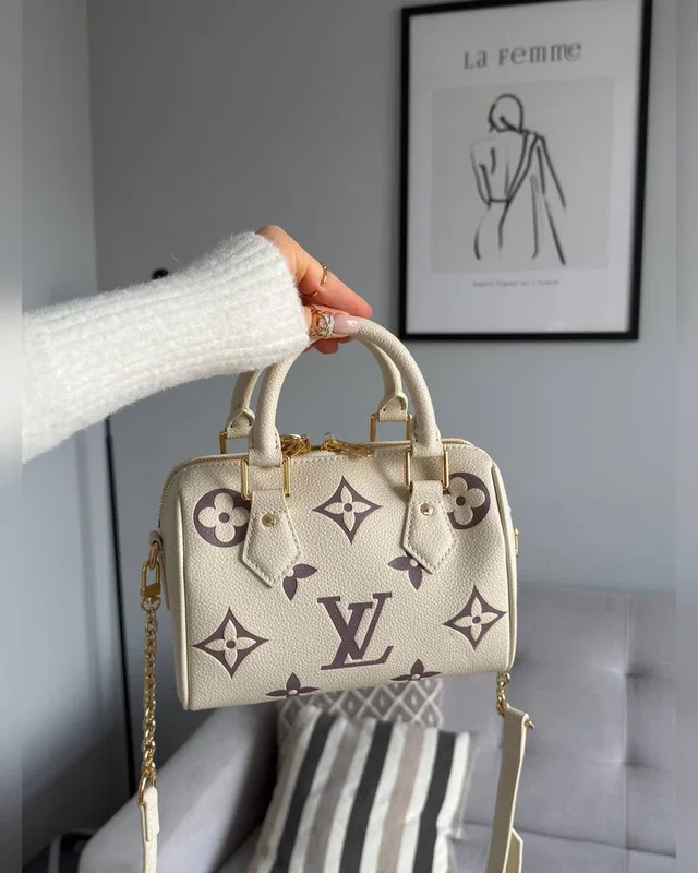 Louis Vuitton Speedy Bandoulière 20 Bicolor Violet/Beige 21 x 17 x 11 — головне фото товару