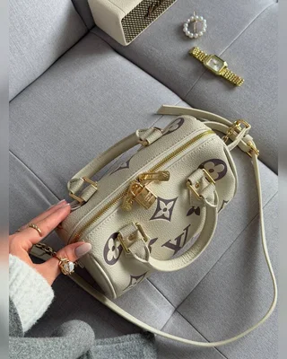 Louis Vuitton Speedy Bandoulière 20 Bicolor Violet Beige 21 x 17 x 11 — головне фото товару