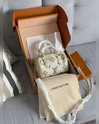 Louis Vuitton Speedy Bandoulière 20 Bicolor Violet Beige 21 x 17 x 11 — головне фото товару