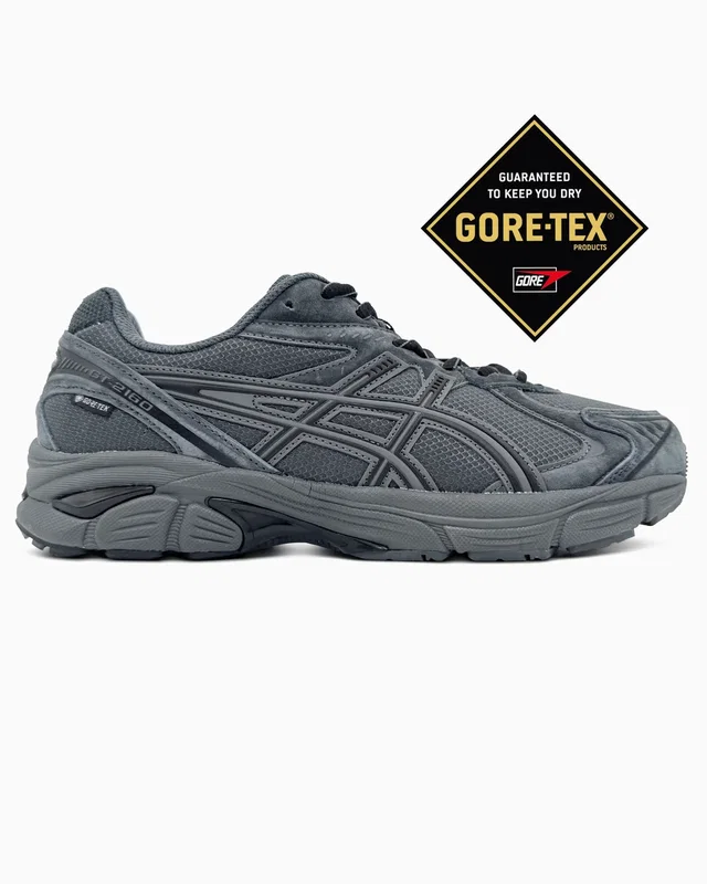 Asics GT-2160 Grey Gore-Tex — головне фото товару
