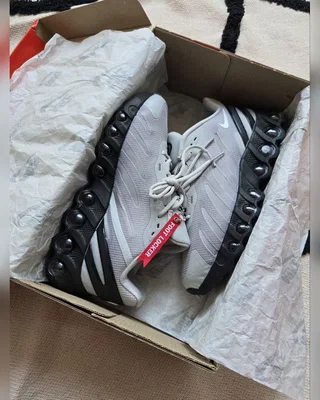 Nike Air Max DN8 • Grey Black • — головне фото товару