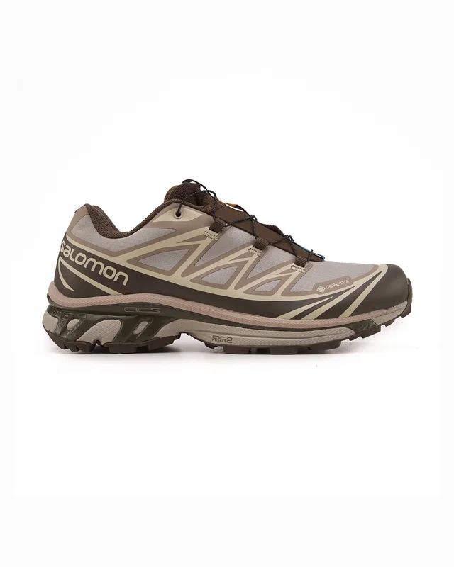 Salomon XT 6 Gore Tex Brown — головне фото товару