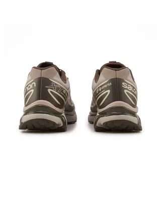 Salomon XT 6 Gore Tex Brown — головне фото товару
