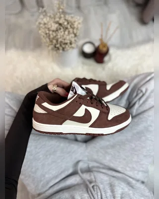 Nike Dunk Red Sepia — головне фото товару