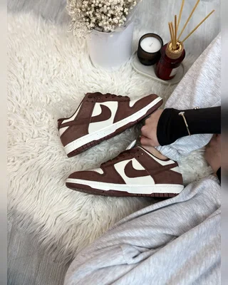 Nike Dunk Red Sepia — головне фото товару