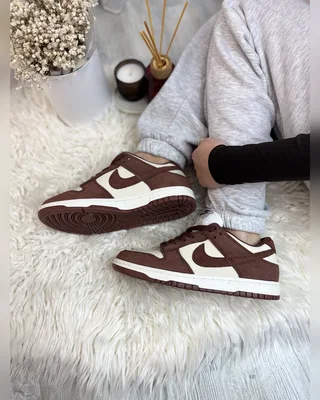 Nike Dunk Red Sepia — головне фото товару