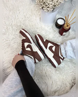 Nike Dunk Red Sepia — головне фото товару
