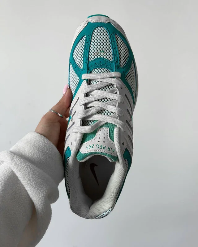 Nike Air Pegasus 2K5 'Coconut Milk Bicoastal' — головне фото товару