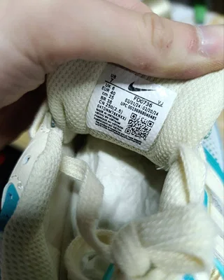Nike Air Pegasus 2K5 'Coconut Milk Bicoastal' — головне фото товару