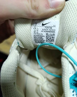 Nike Air Pegasus 2K5 'Coconut Milk Bicoastal' — головне фото товару