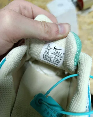 Nike Air Pegasus 2K5 'Coconut Milk Bicoastal' — головне фото товару