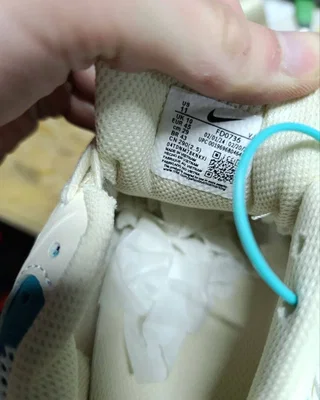 Nike Air Pegasus 2K5 'Coconut Milk Bicoastal' — головне фото товару