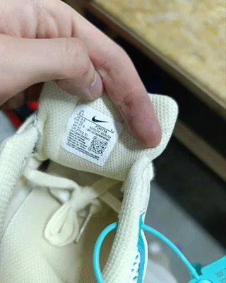 Nike Air Pegasus 2K5 'Coconut Milk Bicoastal' — головне фото товару