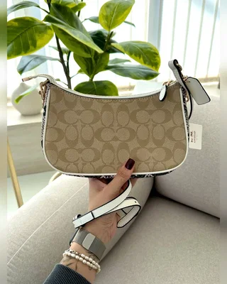 COACH ‎‎‎‎ Coach Teri Shoulder Bag In Signature Canvas Snake Beige [крафтова брендована коробка] 24 х 14 х 6 5 — головне фото товару