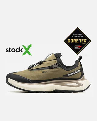 Salomon 1697 Salomon Odyssey Gore Tex Термо — головне фото товару