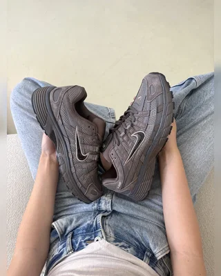 Nike p 6000 brown — головне фото товару