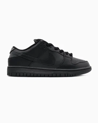 Nike Dunk Low Pro SB Triple Black — головне фото товару