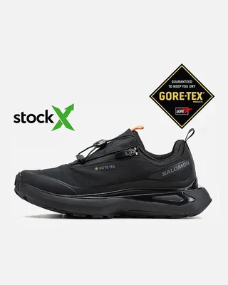 Salomon 1666 Salomon Odyssey Gore Tex Термо — головне фото товару