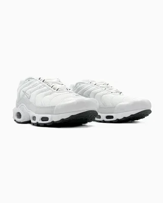 Nike Air Max TN Plus White Grey — головне фото товару