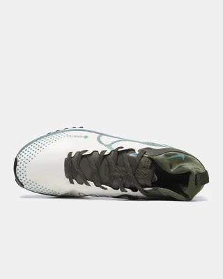 Nike React Pegasus Trail 4 GORE-TEX 'Light Bone Cargo Khaki' FB2193-001 — головне фото товару