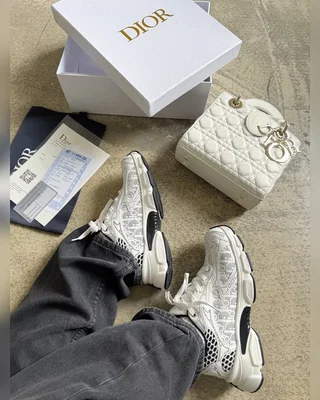 Dior Chrono Sneaker — головне фото товару