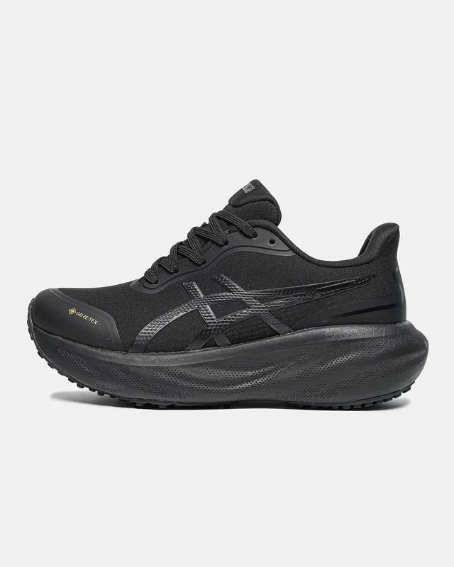 Asics Gel Kayano 30 — головне фото товару