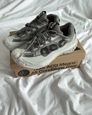Nike ACG Mountain Fly Low 2 'Light Iron Ore' DV7903-003 — головне фото товару