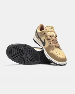 Nike Dunk Low 'Dark Driftwood' — головне фото товару