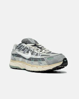 Nike P 6000 Grey gore tex — головне фото товару