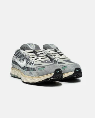 Nike P 6000 Grey gore tex — головне фото товару