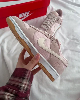 Nike Dunk Low 'Teddy Bear Light Soft Pink' DZ5318-640 — головне фото товару