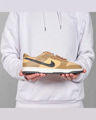Nike Dunk Low 'Dark Driftwood' — головне фото товару