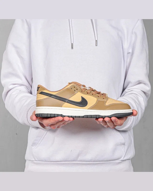 Nike Dunk Low 'Dark Driftwood' — головне фото товару