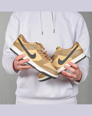Nike Dunk Low 'Dark Driftwood' — головне фото товару
