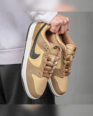 Nike Dunk Low 'Dark Driftwood' — головне фото товару